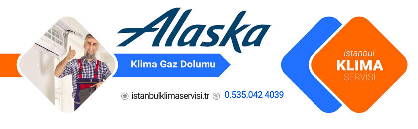 Gaziosmanpaşa Alaska Klima Servisi