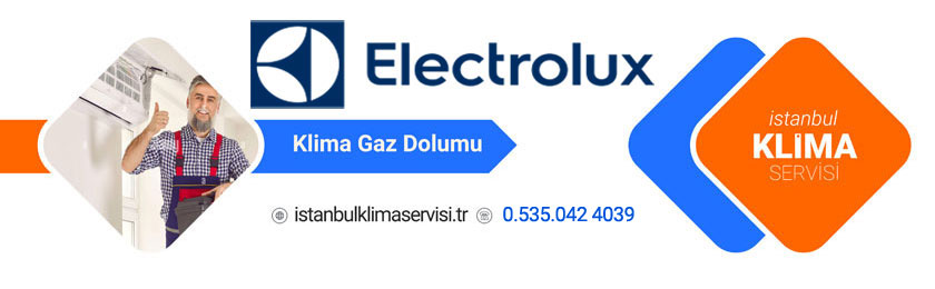 Küçükçekmece Electrolux Klima Servisi